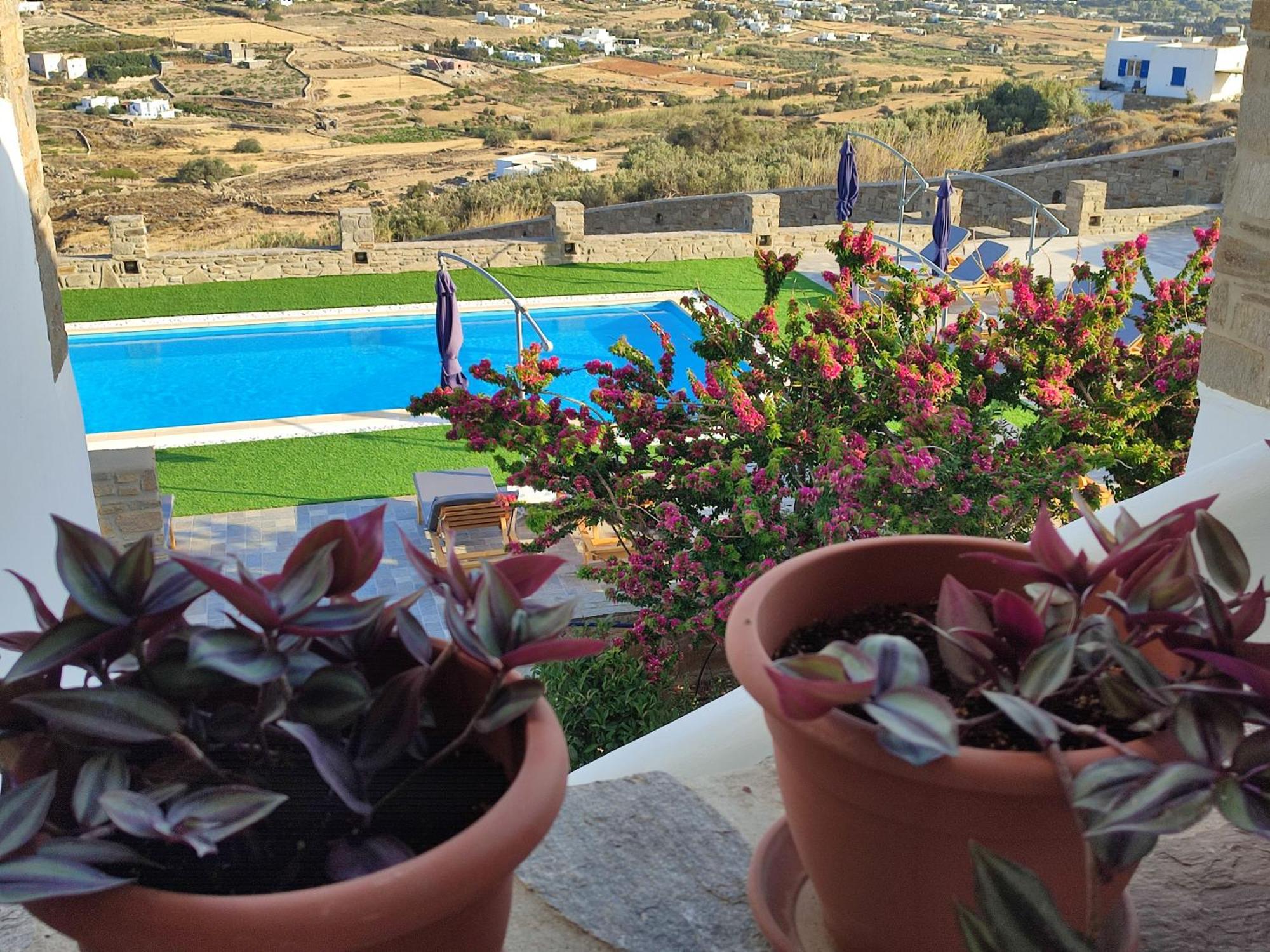 Pleiades Paros Family Apartments Exteriör bild